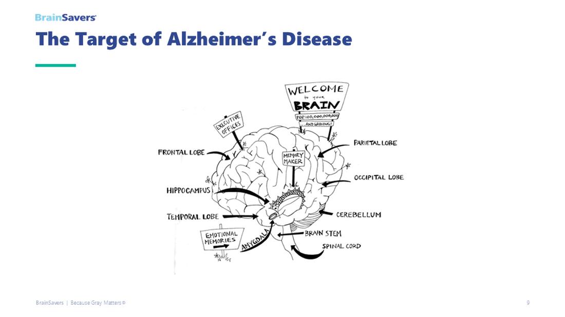 slide 8