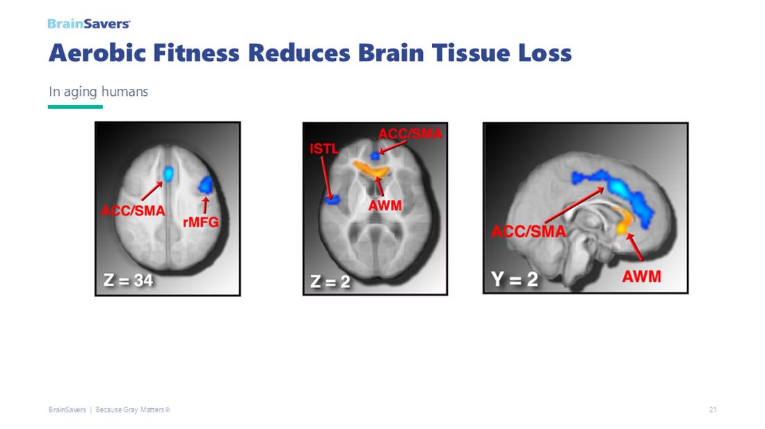 slide 17