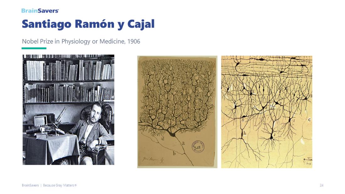 slide 20